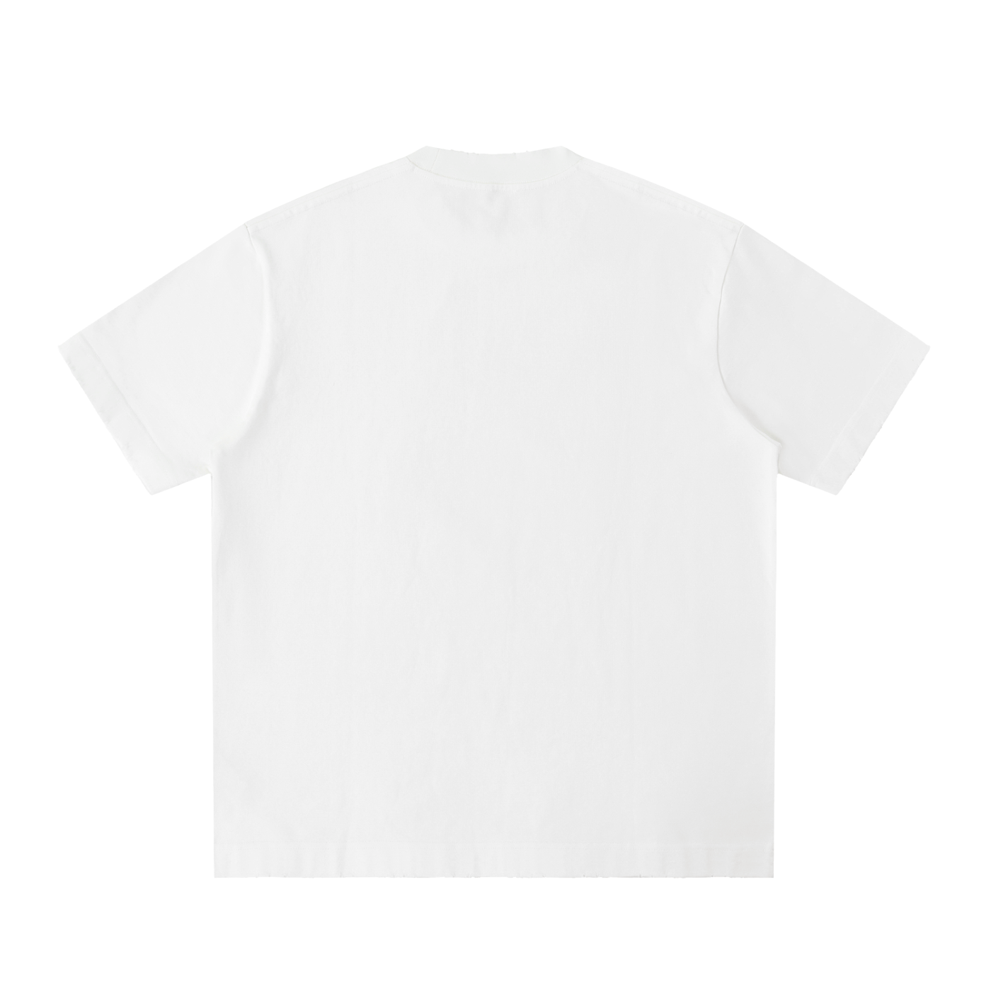 BH Heavyweight Vintage Washed Frayed T-Shirt